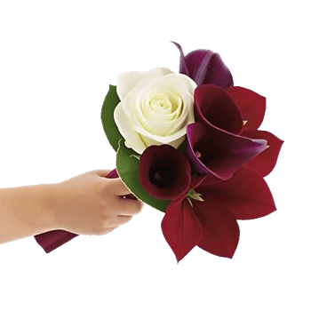 Elegant Calla Lilies