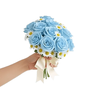 Elegant Blue Roses