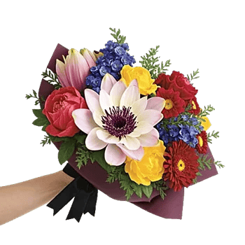 Blossom Grace Spread