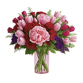 Petal Radiance Bliss