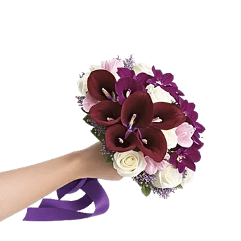 Elegant Calla Lilies