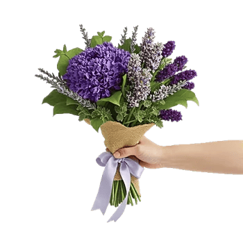 Lavender Bloom Grace