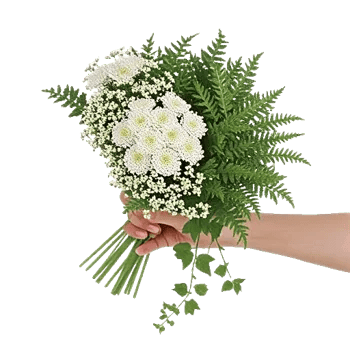 Ivory Garden Grace
