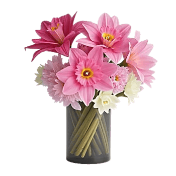 Petal Radiance Bliss