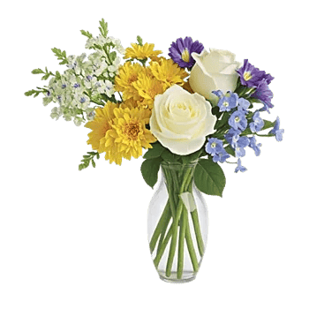 Blooming Serenity Display