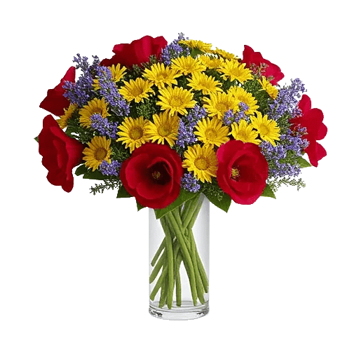 Petal Radiance Bliss