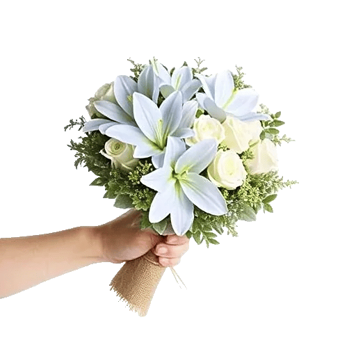 Blossom Petal Serenity