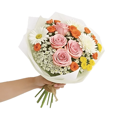 Blushing Rose Symphony