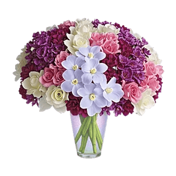 Orchid Bloom Cascade