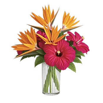 Petal Radiance Bliss