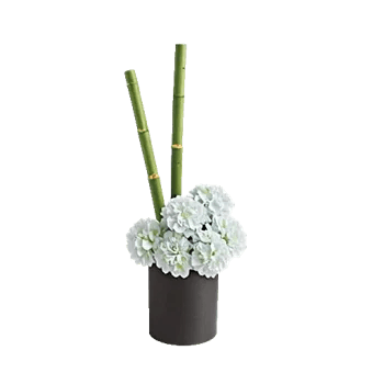 Ivory Blossom Radiance