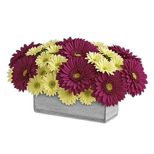 Radiant Bloom Cascade