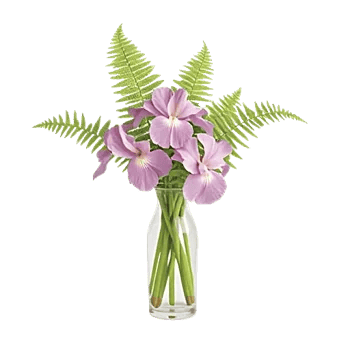 Ivory Blossom Radiance