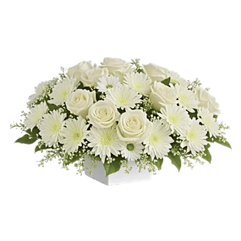 Delicate Petal Cascade