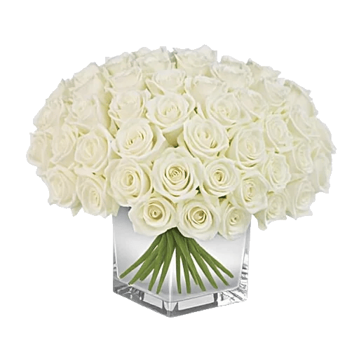 Pearl Rose Elegance