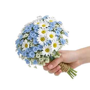 Blossom Petal Serenity