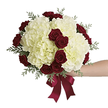 Ivory Garden Grace
