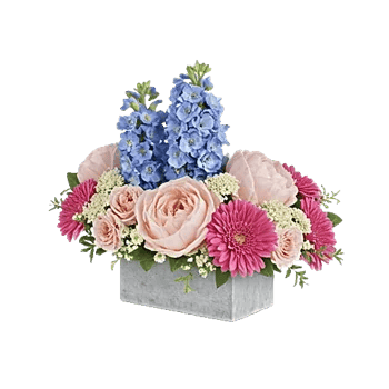 Blossom Petal Serenity