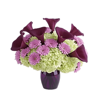 Elegant Calla Lilies