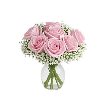 Blossom Radiant Whisper