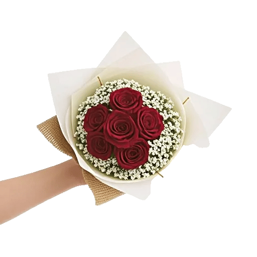 Crimson Rose Elegance