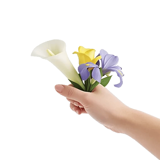 Elegant Calla Lilies