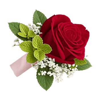 Crimson Rose Elegance