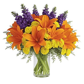 Graceful Lily Display