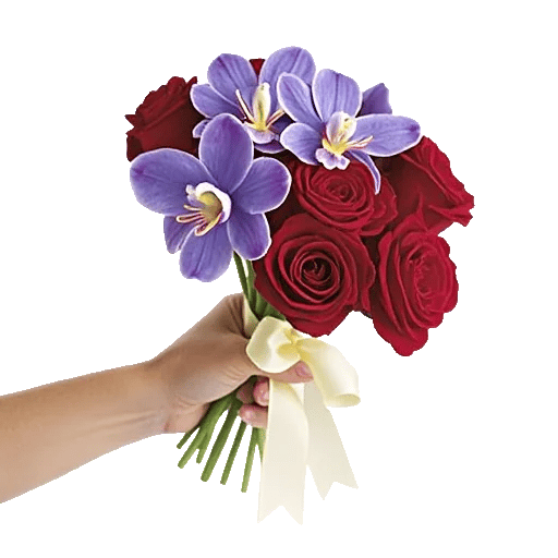 Petal Grace Harmony