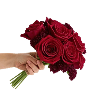 Crimson Rose Elegance