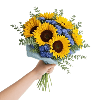 Tropical Sunflower Burst