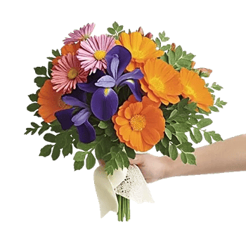 Blossom Petal Serenity