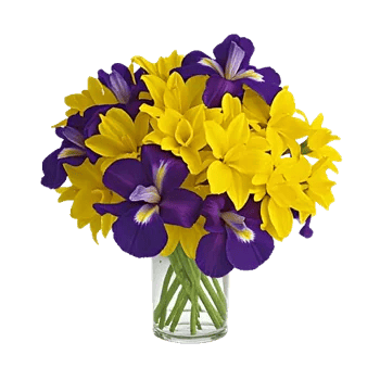 Ivory Blossom Radiance