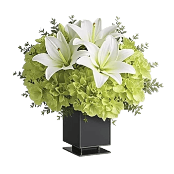 Ivory Blossom Radiance