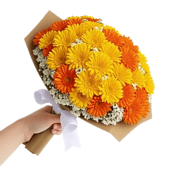 Golden Petal Harmony