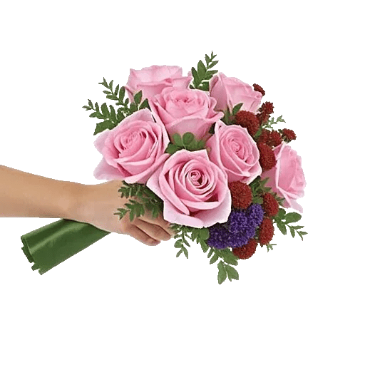 Blushing Rose Symphony