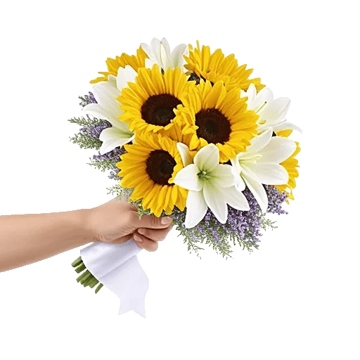 Blossom Harmony Display