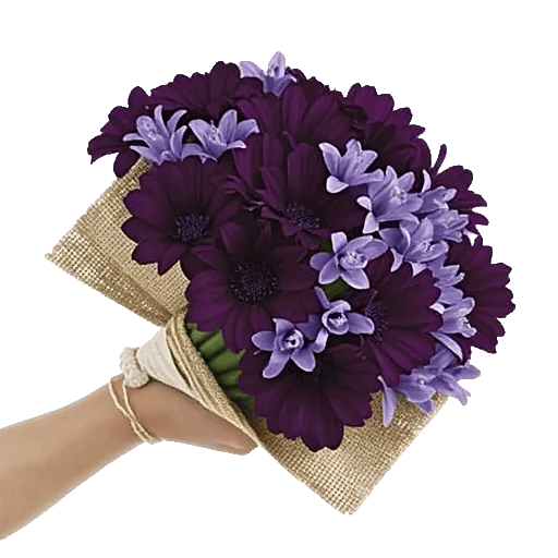 Blushing Rose Symphony