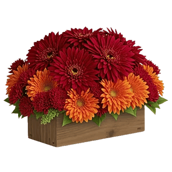 Deep Red Blossoms