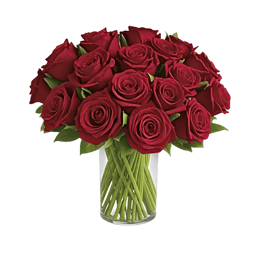 Crimson Rose Elegance