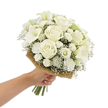 Ivory Garden Grace