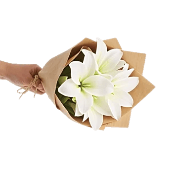Blossom Harmony Display