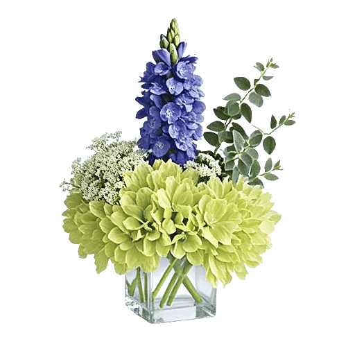 Sapphire Bloom Whisper