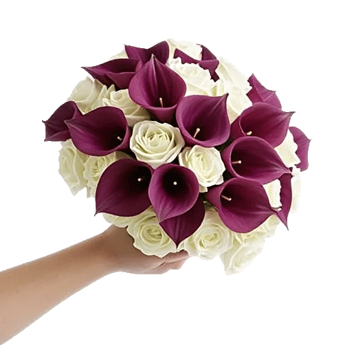 Elegant Calla Lilies