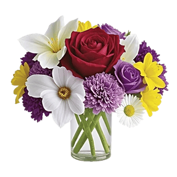 Crimson Blossom Harmony