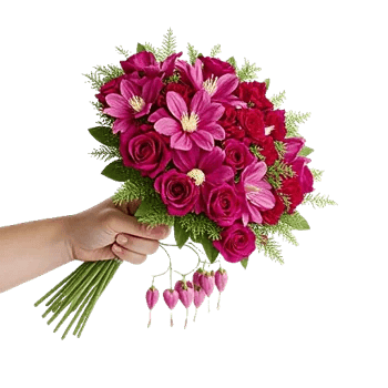 Blushing Rose Symphony