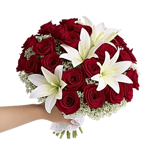 Crimson Rose Elegance