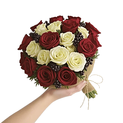 Crimson Rose Elegance