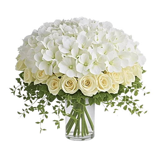 Ivory Blossom Radiance