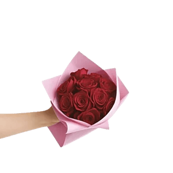 Crimson Rose Elegance